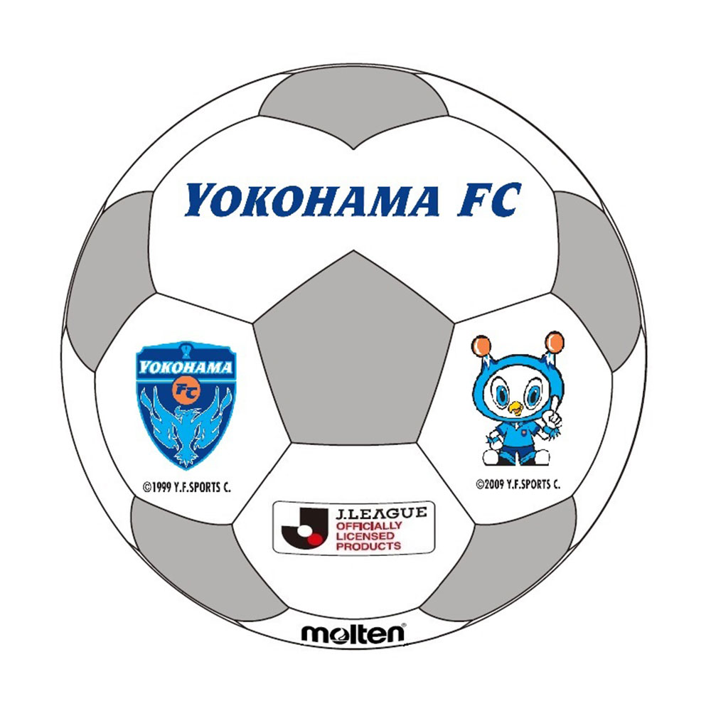 Jリーグライセンスソフトミニボール
